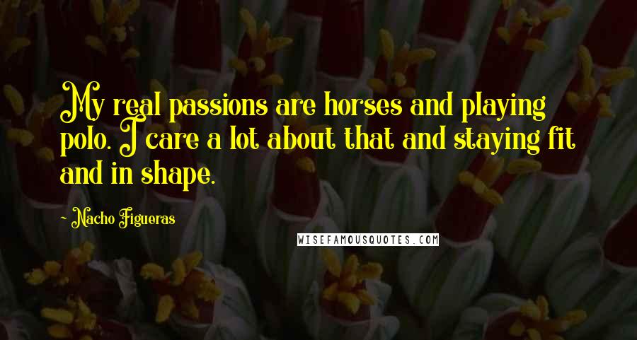 Nacho Figueras Quotes: My real passions are horses and playing polo. I care a lot about that and staying fit and in shape.