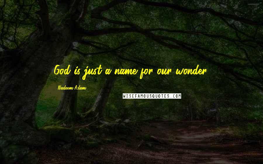 Nadeem Aslam Quotes: God is just a name for our wonder.