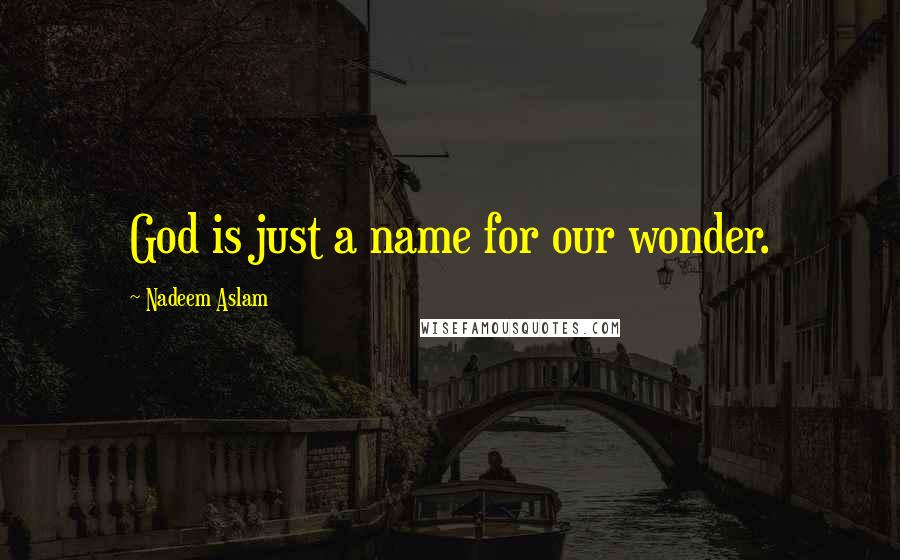 Nadeem Aslam Quotes: God is just a name for our wonder.