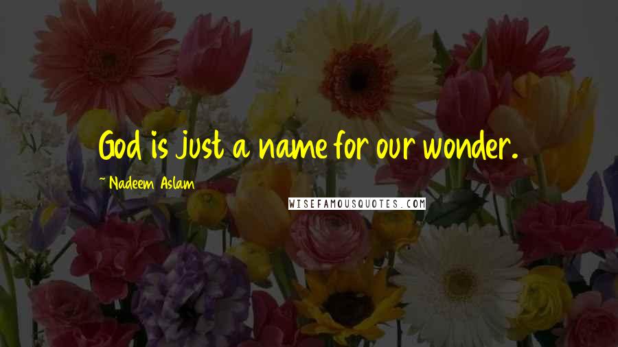 Nadeem Aslam Quotes: God is just a name for our wonder.