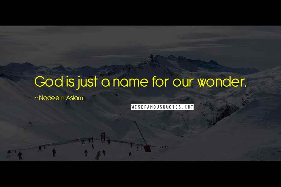 Nadeem Aslam Quotes: God is just a name for our wonder.