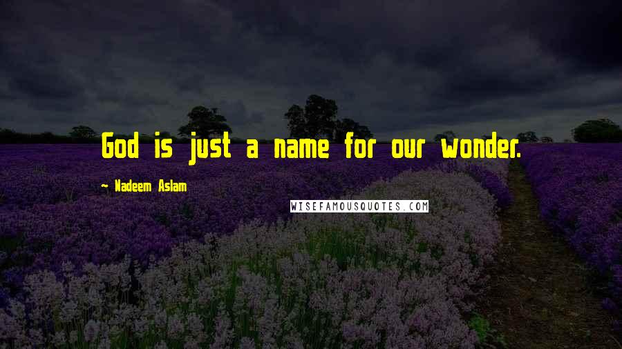 Nadeem Aslam Quotes: God is just a name for our wonder.