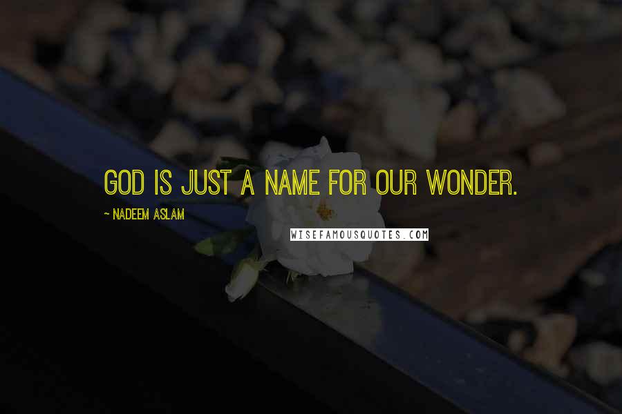 Nadeem Aslam Quotes: God is just a name for our wonder.