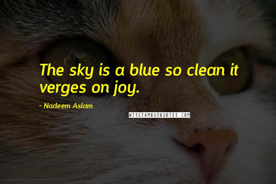 Nadeem Aslam Quotes: The sky is a blue so clean it verges on joy.