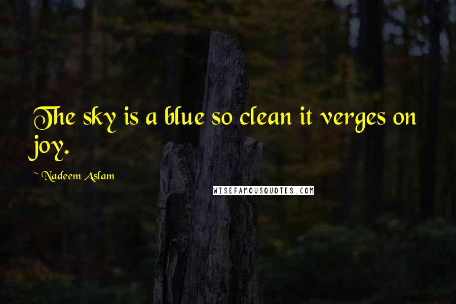 Nadeem Aslam Quotes: The sky is a blue so clean it verges on joy.