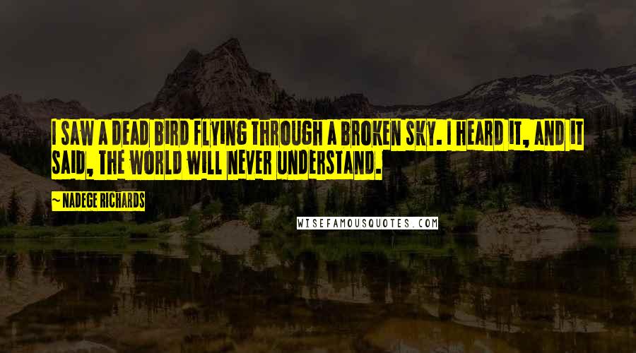 Nadege Richards Quotes: I saw a dead bird flying through a broken sky. I heard it, and it said, The world will never understand.