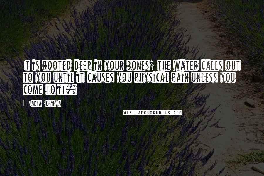 Nadia Scrieva Quotes: It is rooted deep in your bones; the water calls out to you until it causes you physical pain unless you come to it.