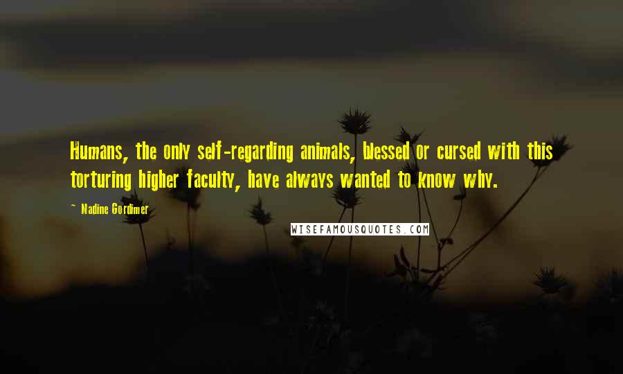 Nadine Gordimer Quotes: Humans, the only self-regarding animals, blessed or cursed with this torturing higher faculty, have always wanted to know why.