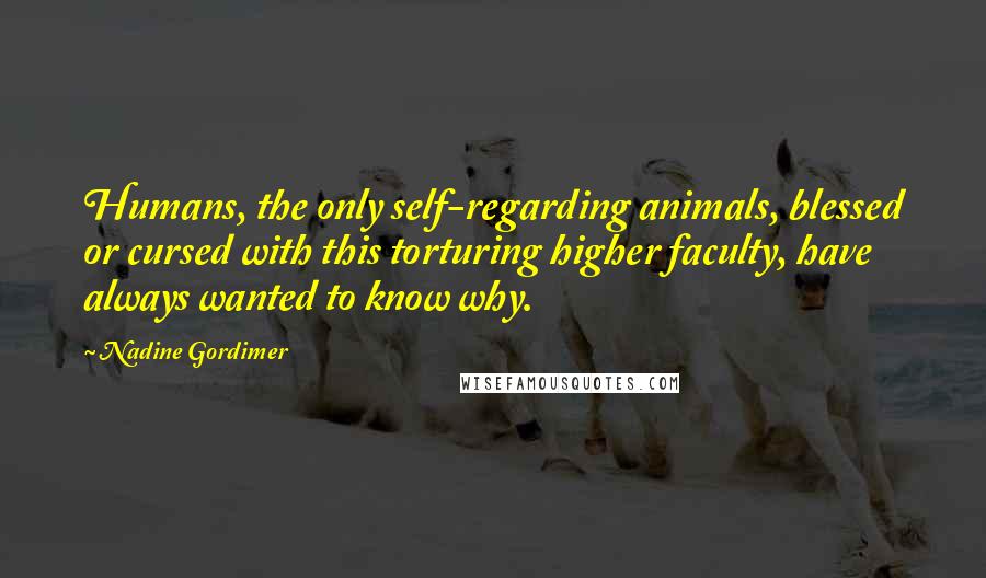 Nadine Gordimer Quotes: Humans, the only self-regarding animals, blessed or cursed with this torturing higher faculty, have always wanted to know why.