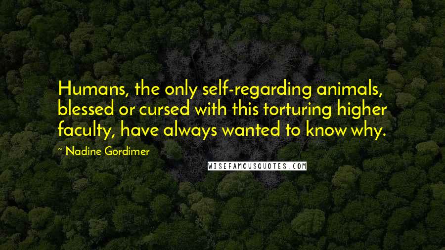 Nadine Gordimer Quotes: Humans, the only self-regarding animals, blessed or cursed with this torturing higher faculty, have always wanted to know why.