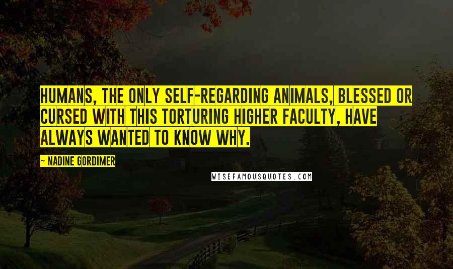 Nadine Gordimer Quotes: Humans, the only self-regarding animals, blessed or cursed with this torturing higher faculty, have always wanted to know why.