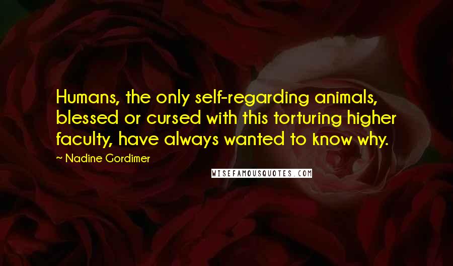 Nadine Gordimer Quotes: Humans, the only self-regarding animals, blessed or cursed with this torturing higher faculty, have always wanted to know why.