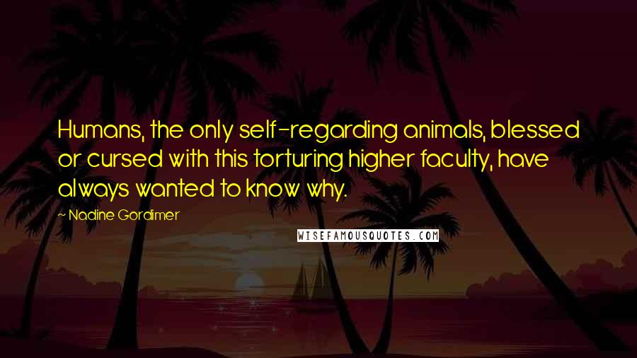 Nadine Gordimer Quotes: Humans, the only self-regarding animals, blessed or cursed with this torturing higher faculty, have always wanted to know why.