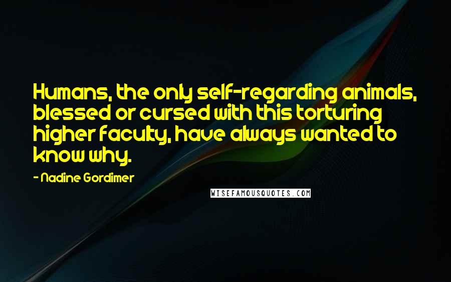 Nadine Gordimer Quotes: Humans, the only self-regarding animals, blessed or cursed with this torturing higher faculty, have always wanted to know why.