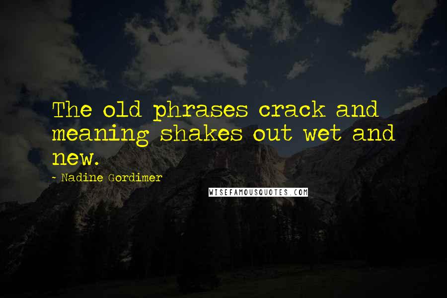 Nadine Gordimer Quotes: The old phrases crack and meaning shakes out wet and new.