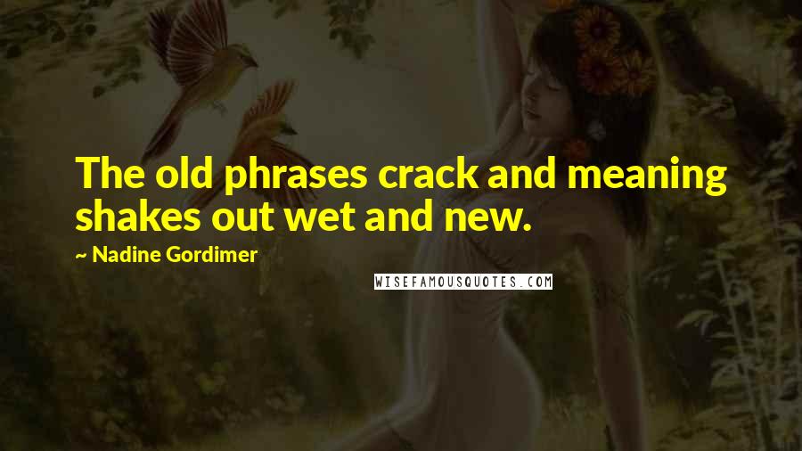 Nadine Gordimer Quotes: The old phrases crack and meaning shakes out wet and new.