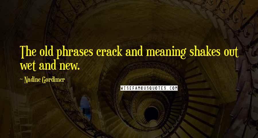 Nadine Gordimer Quotes: The old phrases crack and meaning shakes out wet and new.