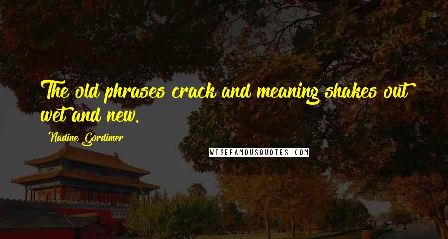 Nadine Gordimer Quotes: The old phrases crack and meaning shakes out wet and new.
