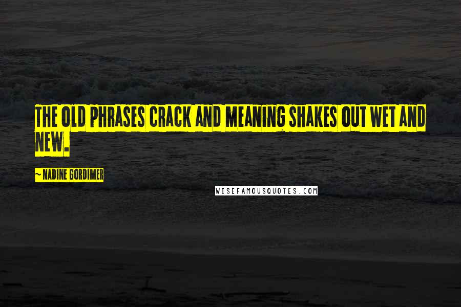 Nadine Gordimer Quotes: The old phrases crack and meaning shakes out wet and new.