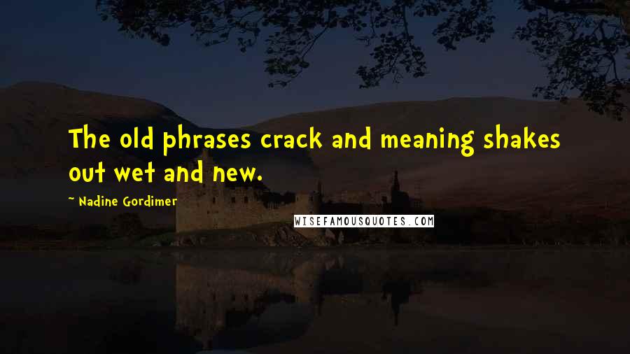 Nadine Gordimer Quotes: The old phrases crack and meaning shakes out wet and new.