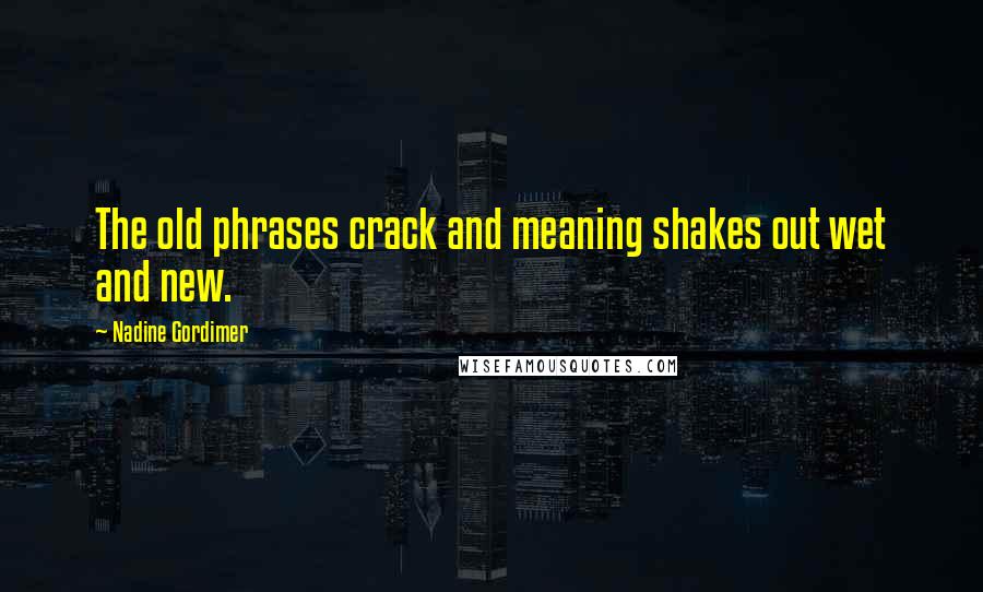 Nadine Gordimer Quotes: The old phrases crack and meaning shakes out wet and new.