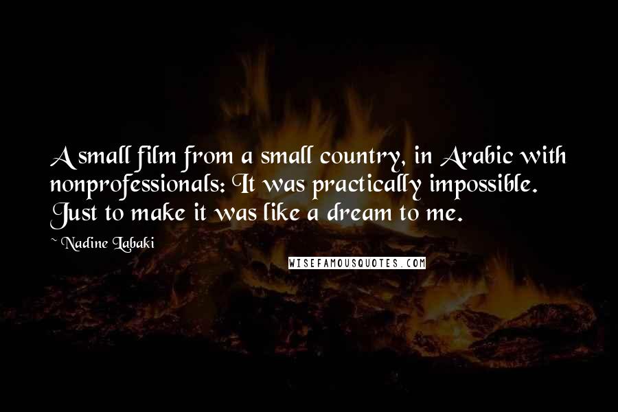 Nadine Labaki Quotes: A small film from a small country, in Arabic with nonprofessionals: It was practically impossible. Just to make it was like a dream to me.