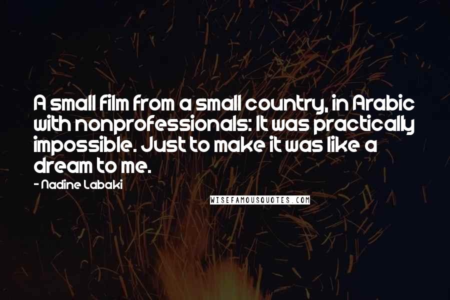 Nadine Labaki Quotes: A small film from a small country, in Arabic with nonprofessionals: It was practically impossible. Just to make it was like a dream to me.