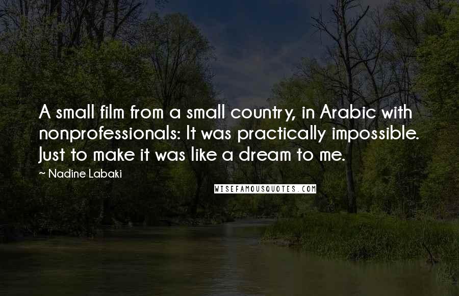 Nadine Labaki Quotes: A small film from a small country, in Arabic with nonprofessionals: It was practically impossible. Just to make it was like a dream to me.