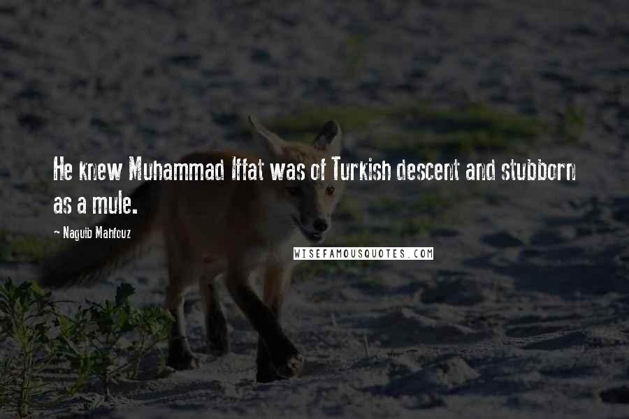 Naguib Mahfouz Quotes: He knew Muhammad Iffat was of Turkish descent and stubborn as a mule.