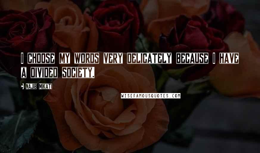 Najib Mikati Quotes: I choose my words very delicately because I have a divided society.