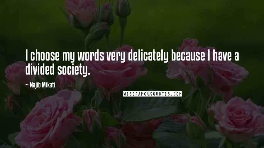 Najib Mikati Quotes: I choose my words very delicately because I have a divided society.