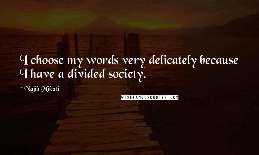 Najib Mikati Quotes: I choose my words very delicately because I have a divided society.