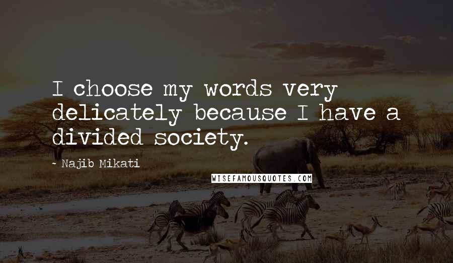 Najib Mikati Quotes: I choose my words very delicately because I have a divided society.