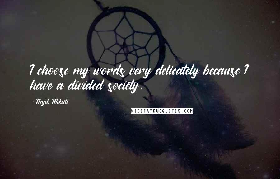 Najib Mikati Quotes: I choose my words very delicately because I have a divided society.