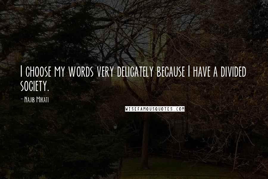 Najib Mikati Quotes: I choose my words very delicately because I have a divided society.