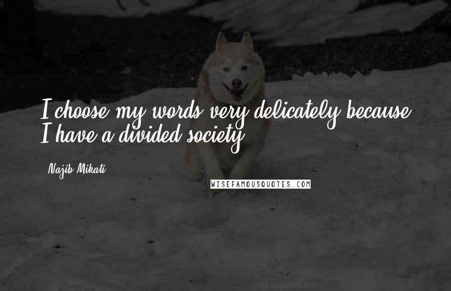 Najib Mikati Quotes: I choose my words very delicately because I have a divided society.