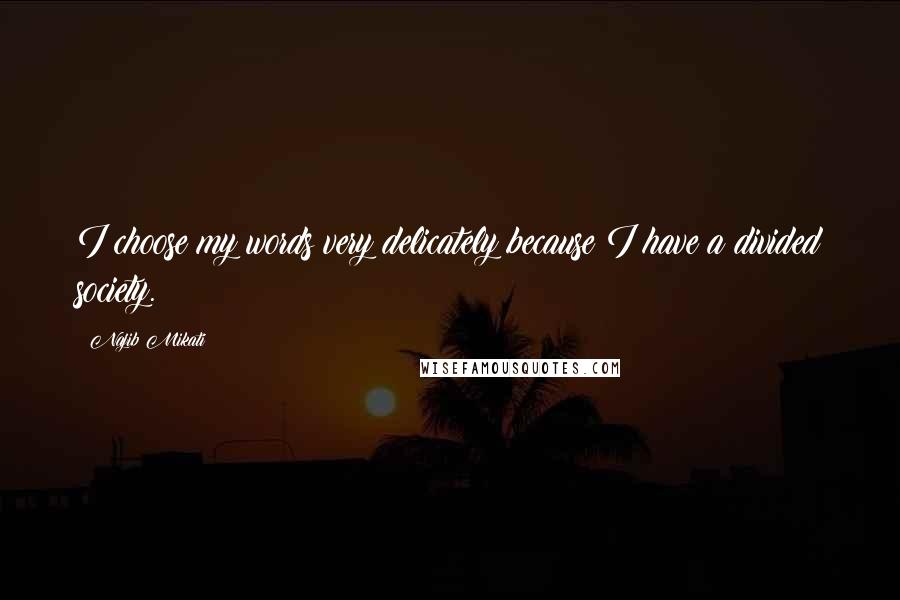 Najib Mikati Quotes: I choose my words very delicately because I have a divided society.