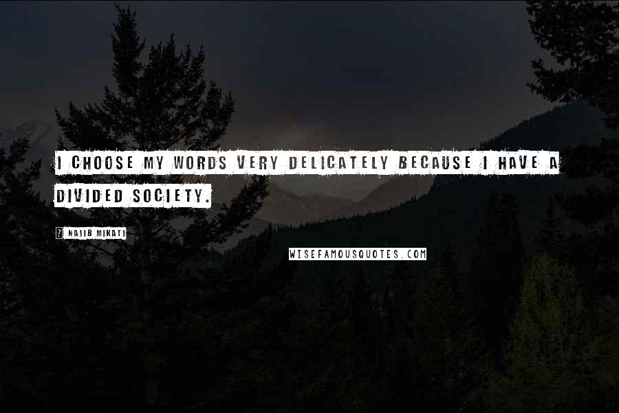 Najib Mikati Quotes: I choose my words very delicately because I have a divided society.