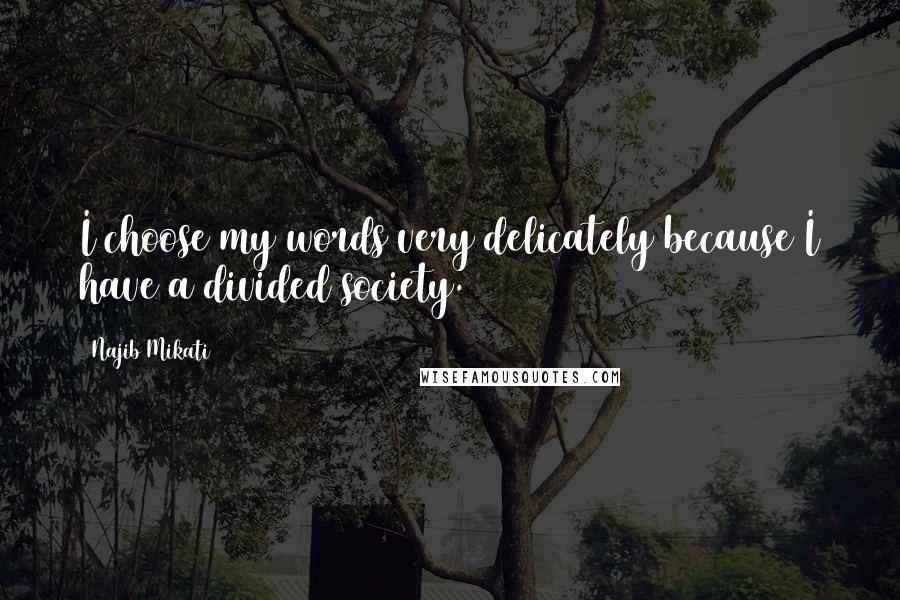 Najib Mikati Quotes: I choose my words very delicately because I have a divided society.