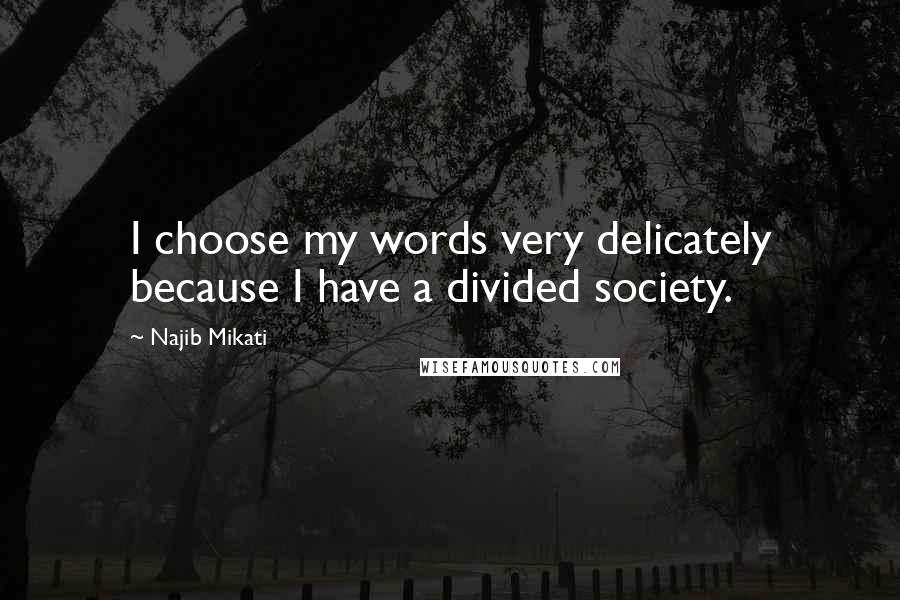 Najib Mikati Quotes: I choose my words very delicately because I have a divided society.