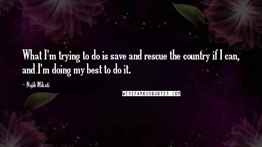 Najib Mikati Quotes: What I'm trying to do is save and rescue the country if I can, and I'm doing my best to do it.