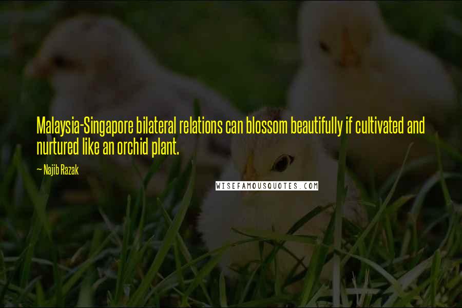 Najib Razak Quotes: Malaysia-Singapore bilateral relations can blossom beautifully if cultivated and nurtured like an orchid plant.