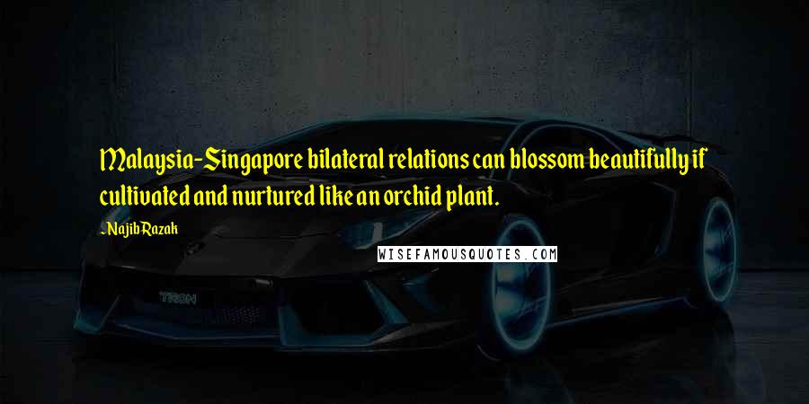Najib Razak Quotes: Malaysia-Singapore bilateral relations can blossom beautifully if cultivated and nurtured like an orchid plant.