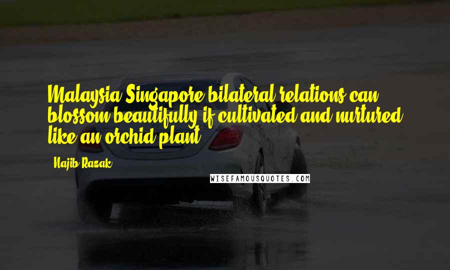 Najib Razak Quotes: Malaysia-Singapore bilateral relations can blossom beautifully if cultivated and nurtured like an orchid plant.