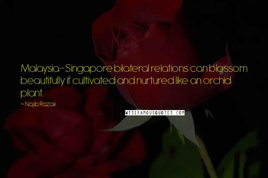 Najib Razak Quotes: Malaysia-Singapore bilateral relations can blossom beautifully if cultivated and nurtured like an orchid plant.