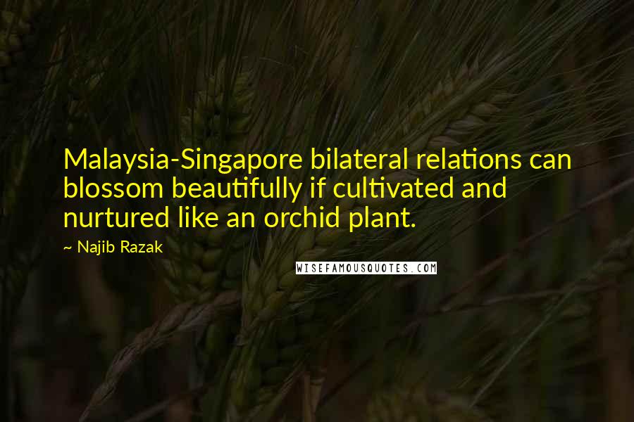 Najib Razak Quotes: Malaysia-Singapore bilateral relations can blossom beautifully if cultivated and nurtured like an orchid plant.