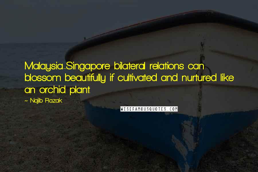 Najib Razak Quotes: Malaysia-Singapore bilateral relations can blossom beautifully if cultivated and nurtured like an orchid plant.