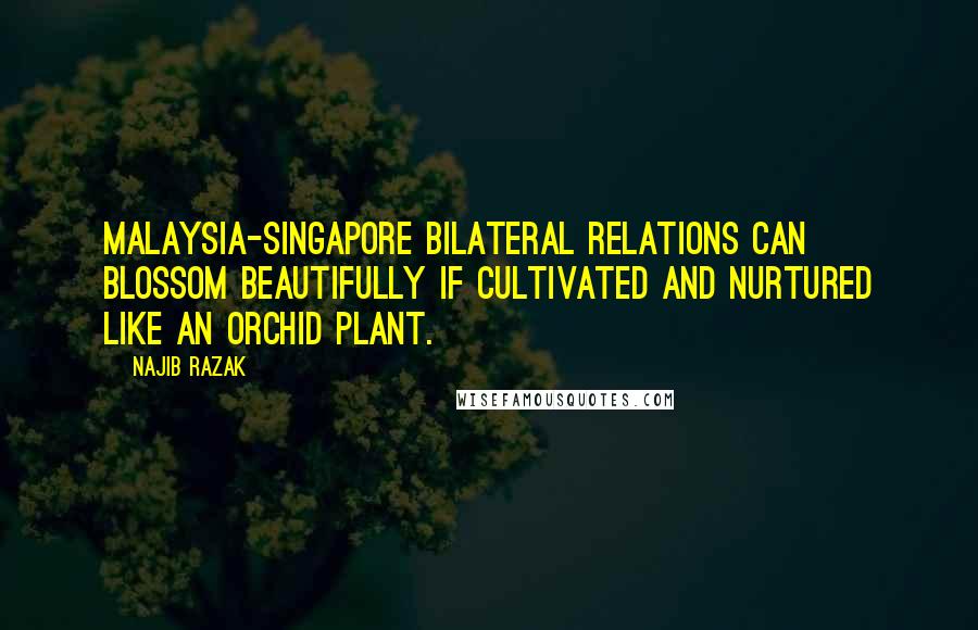 Najib Razak Quotes: Malaysia-Singapore bilateral relations can blossom beautifully if cultivated and nurtured like an orchid plant.