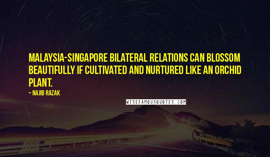 Najib Razak Quotes: Malaysia-Singapore bilateral relations can blossom beautifully if cultivated and nurtured like an orchid plant.