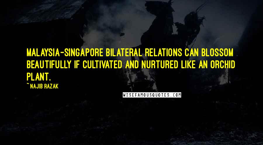 Najib Razak Quotes: Malaysia-Singapore bilateral relations can blossom beautifully if cultivated and nurtured like an orchid plant.